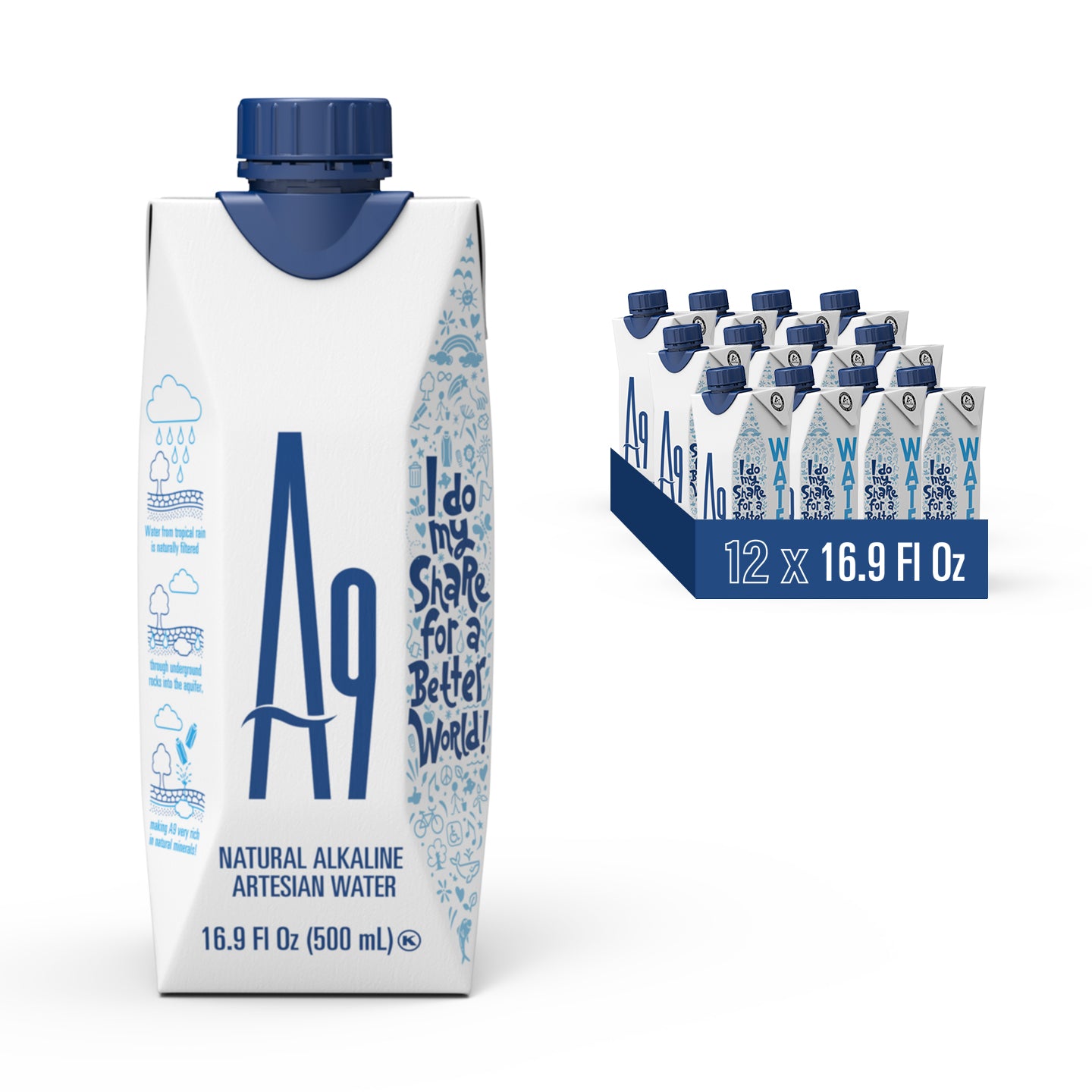 A9 Alkaline pH 9.6 Artesian Mineral Natural Water - Untouched & Unchanged, No additives, No Plastic, 16.9 Fl Oz Bottles - 12 PACK